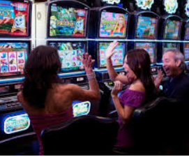 ledong网页版入口最新版