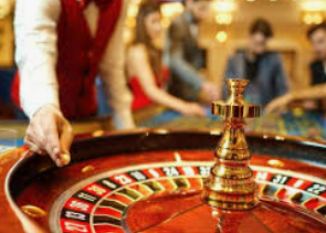 ledong网页版入口2024最新版