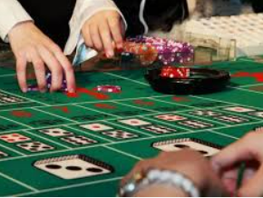 ledong网页版入口正式版